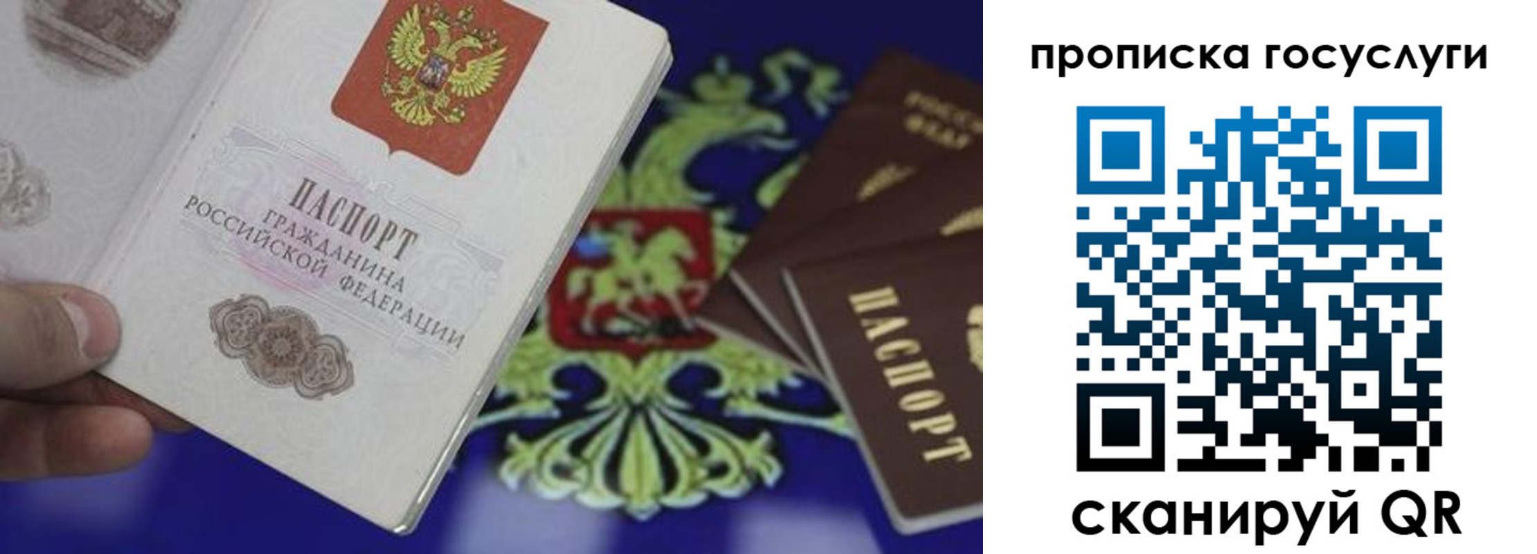 прописка для школы в Межгорье